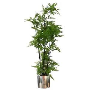 150cm Artificial Natural Extra Large Fern Foliage Plant with Silver Metal Plater