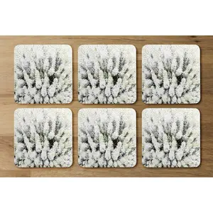 Square 6 Piece Coaster Set (Set of 6)