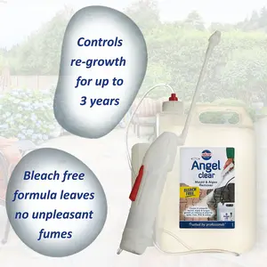 Nilco Angel Clear 10L Mould Algae Remover Cleaner Walls Tiles PVC Patios 2x 5L