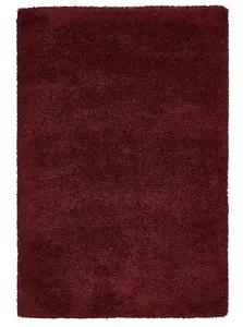 Ruby Plain Shaggy Rug, Stain-Resistant Rug, Easy to Clean Rug, Modern Rug for Living Room, & Dining Room-80cm X 150cm