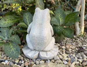 Cute Prince Frog Pond Ornament