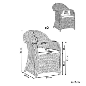 Set of 2 Garden Chairs with Cushions SUSUA II Rattan Natural