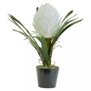 Fiori White Tropical Plant Artificial Plant Foliage