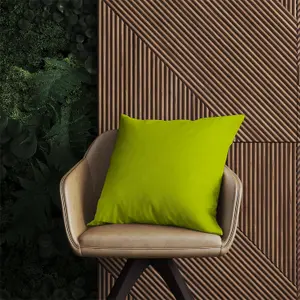 Lime Outdoor Cushion 60cm x 60cm