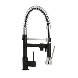 Cooke & Lewis Bilbrough Black Kitchen Side lever spring neck Tap