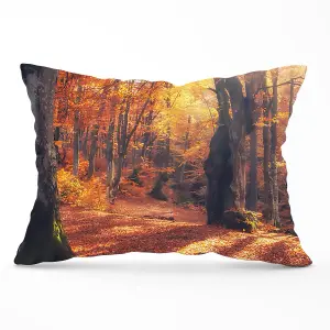 Autumn Forest Cushions 33cm x 48cm