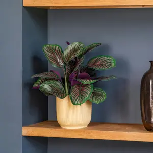 Blooming Artificial - 40cm / 1.25ft Faux Pinstripe Calathea