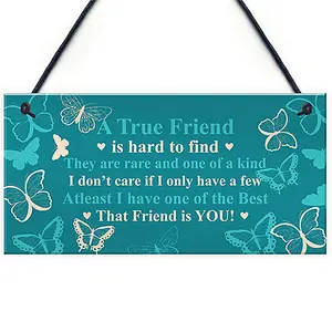 Special Gift For Friend Birthday Christmas Best Friend Plaque Friendship Sign Keepsake