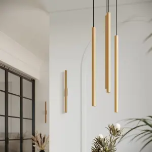 Pastelo Steel Gold 2 Lights Modern Pendant Ceiling Light