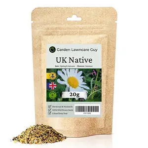 UK Native Wild Flower Seeds Mix 20g (10m²)