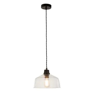 GLASS DOME PENDANT BLACK SUSPENSION