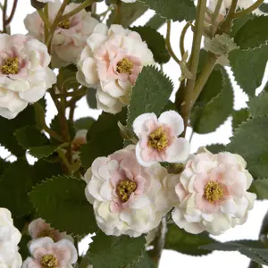 UK Homeliving Cream Wild Meadow Rose