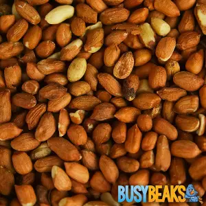 1L BusyBeaks Whole Peanuts - Fresh Premium Wild Garden Bird Energy Seed Food Feed