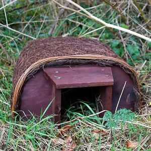 Wildlife World Hedgehog Haus (House)