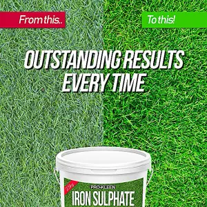 Pro-Kleen Iron Sulphate 1 KG PREMIUM Ferrous Pure Lawn Tonic- Lawn Conditioner and Turf Hardener. Dry Powder soluble in water