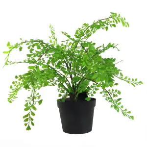 35cm Artificial Potted Fern Plant (Southern Maidenhair Fern)