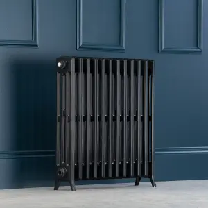 Arroll Edwardian Cast aluminium Anthracite Grey 12 Column Radiator, (W)728mm x (H)750mm