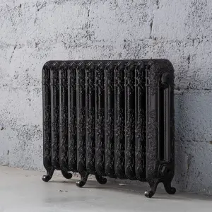 Arroll Daisy Cast iron Black 12 Column Radiator, (W)814mm x (H)549mm