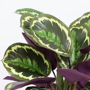 Blooming Artificial - 40cm / 1.25ft Fake Medallion Calathea