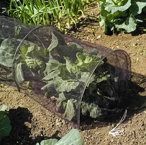 3M Black Poly Cloche Garden Grow Tunnel