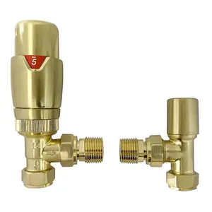 Ang led Brushed Brass Thermostatic Radiator Valve