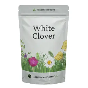 Wild White Clover Flower Seeds for Lawns and Gardens (100 grams)