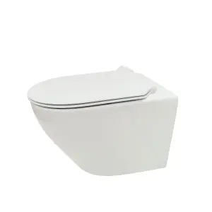 Top Ceramics White Round Wall Hung Rimless Toilet with Soft Close Seat and 1.12m Cistern Frame