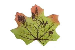 Best Artificial Loose Autumn Halloween Maple Leaves for Crafts Decoration - M8