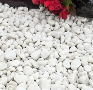 Polar White Spanish Marble Pebbles 20-50mm - 800kg Bulk Bag