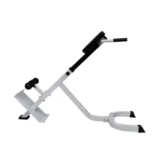 Back Extension Bench Fitness Home Gym Essential