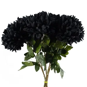 Pack of 6 x 75cm Extra Large Reflex Chrysanthemum - Black