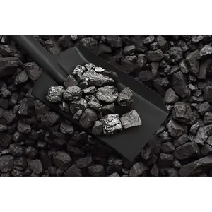 Sealey Coal Shovel 4" with 160mm Handle SS07