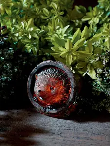 Hedgehog Design Solar Light - Outdoor Patio or Decking Garden Ornament Decoration - 11cm x 11cm x 14.5cm