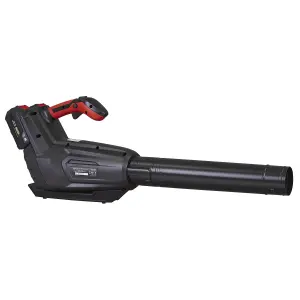 Sealey SV20 Series Cordless Blower 40V Heavy Duty Trigger Lock Body Only CP40VB