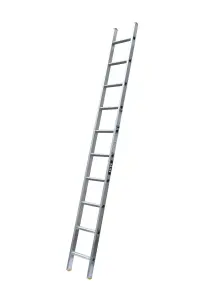 Premium Trade Single-Section Ladder  EN131-2 Certified  Lyte