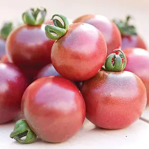 Tomato Rosella F1 Hybrid 1 Seed Packet