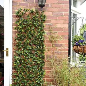 Lemon Leaf Topiary Trellis 180 x 60cm Artificial Leaf Trellis Garden Screen