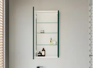 Bathroom Mirror Cabinet Washroom Cupboard Dark Green Slim 400mm Wall Storage Unit Avir