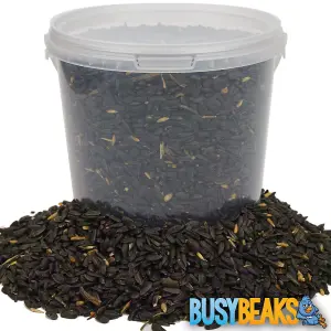 10L BusyBeaks Black Oil Sunflower Seeds - Oil Rich Feed Wild Garden Bird Food