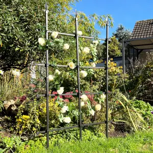 Garden Trellis for Climbing Plants 6ft / 180x150cm High - Metal Rose Fence & Free Standing Screen for Borders Edging Plant Support