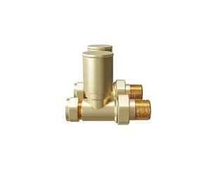 Banyetti Straight Radiator Valves - Brushed Brass