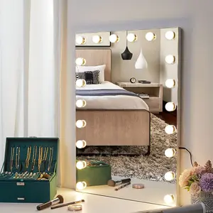 Dimmable Rectangle Wall Mounted Hollywood Makeup Vanity Mirror with 20 LED Bulbs White 50x70cm