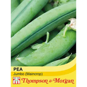 Pea Jumbo 1 Seed Packet (250 Seeds)