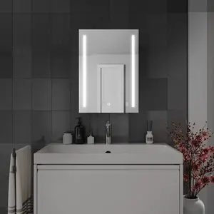 Harper & Harlow 400x600 Lynx LED Illuminated Bathroom Mirror