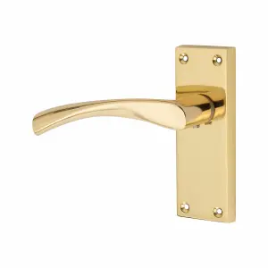 6 Sets Victorian Scroll Astrid handle Polished Brass Finish 120mm x 42mm With 2.5" Latch and 1 Pair of Hinges - Golden Grace