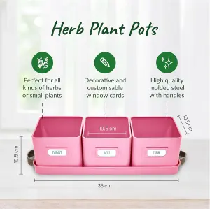 Pink Herb Pots for Kitchen Windowsill 3-Pack Indoor Planters with Leather Tray & Labels, Ideal for Fresh Herbs & Small Plants