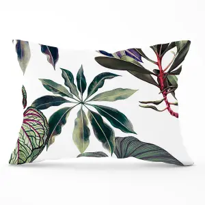 Watercolor Tropical Leaf Cushions 33cm x 48cm