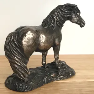 Shetland Pony horse figurine in solid cold cast bronze designed by Harriet Glen