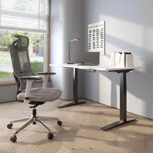 FlexiSpot Breathable and Comfortable Ergonomic Office Chair with Lumbar Support in Grey