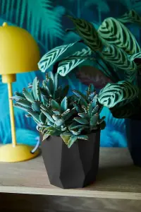 Elho B.for Rock 14cm Living Black Recycled Plastic Plant Pot